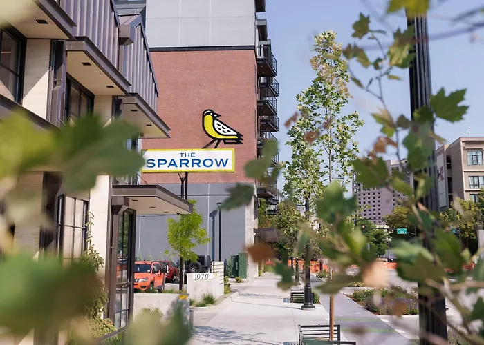 The Sparrow